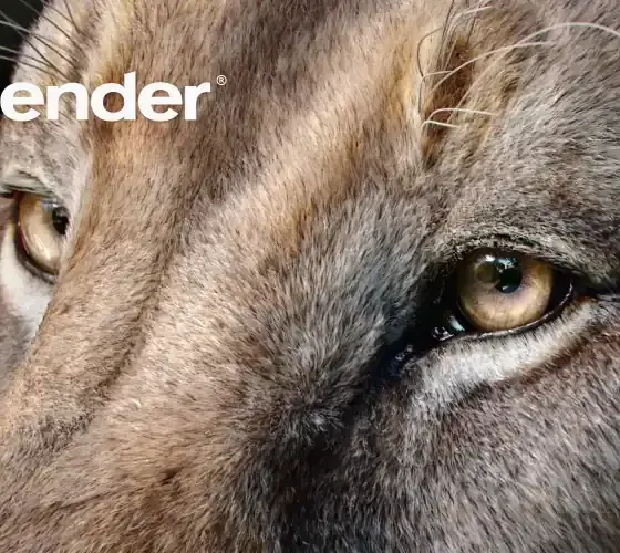 تحميل Blender للكمبيوتر للتصميم والنمذجة ثلاثية الأبعاد